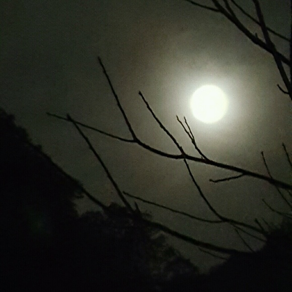 lunalmoon